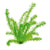 Egeria plants collection featuring Anacharis for freshwater aquariums, ponds, and planted tanks