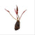 Barclaya plants collection featuring Barclaya Longifolia for freshwater aquariums and planted aquascapes