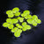 Spirodela floating aquarium plants collection featuring Giant Duckweed for freshwater tanks, ponds, and aquatic gardens