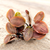 Lagenandra plants collection with Meeboldii Red, Keralensis, Ovata, and Vitro Culture varieties for freshwater aquariums