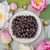 Nelumbo lotus collection with assorted lotus seeds and pond plants for water gardens