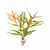 Persicaria plants collection featuring Sao Paulo, Kawagoeanum, and colorful stem plants for freshwater aquariums