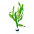 Potamogeton plants collection featuring Slender Pondweed, Shining Pondweed, and aquatic pond plants for aquariums