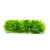 Riccia plants collection featuring Riccia Fluitans and Vitro Culture Crystalwort for freshwater aquariums
