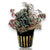Selaginella plants collection featuring Ruby Red Clubmoss, Kraussiana, and Mini Clubmoss for terrariums and paludariums