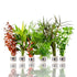 Aquarium Plants Packages, assorted aquarium plants