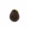 Aponogeton Longiplumulosus Bulb Only Without Leaf Aquarium Plants Factory APF Dormant Aquarium Bulb