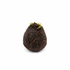 Aponogeton Longiplumulosus Bulb Only Without Leaf Aquarium Plants Factory APF Dormant Aquarium Bulb