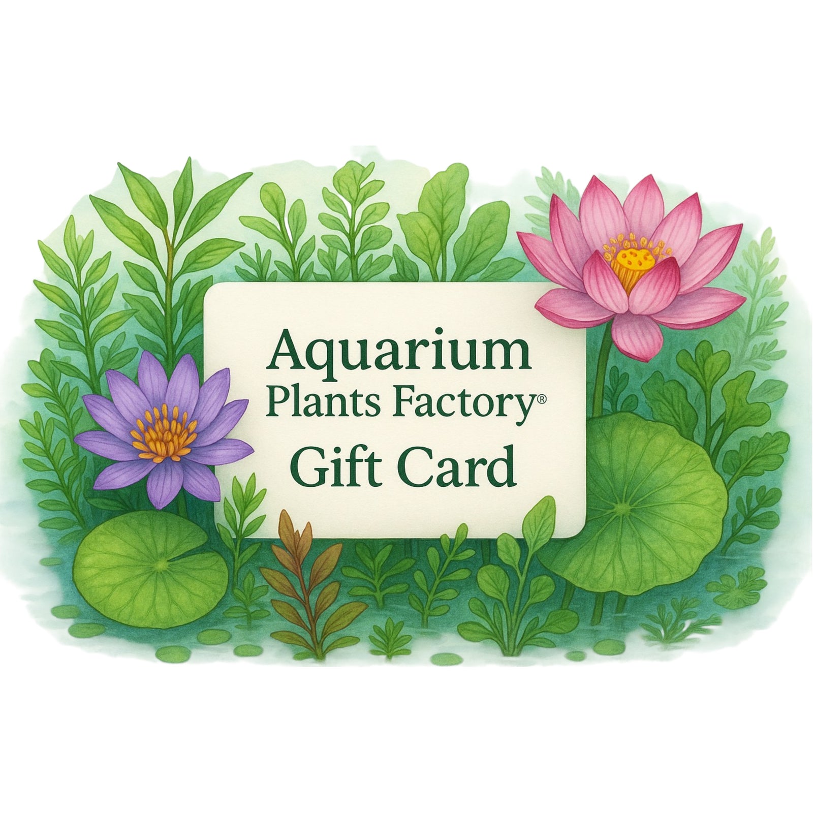 Shopping for someone else but not sure what to give them? Give them the gift of choice with an Aquarium Plants Factory® digital gift card.

Digital gift cards are only delivered by email and contain instructions to redeem them at checkout. Our gift cards have no additional processing fees and no expiration date.