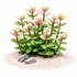 A cluster of pink Bacopa salzmannii stems used as a colorful midground accent in a planted tank.