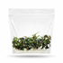 A sealed sterile Vitro Culture tissue culture bag containing healthy, low-growing Bucephalandra Mini Black Carpet plantlets with dark green foliage.
