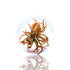 Cryptocoryne Pink Flamingo live aquarium plant featuring vibrant pink and bronze leaves, growing in a sterile small tissue culture cup for a pest-free planted tank.