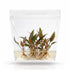 Cryptocoryne walkeri aquarium plant in a clear in-vitro tissue culture bag.