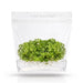 Hydrocotyle tripartita 'Mini Variegated' vitro culture tissue aquarium plant in a sealed clear pouch.
