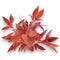 Ludwigia Peruensis (Ludwigia glandulosa) – Rare Red Aquarium Plant