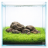 Utricularia graminifolia carpet aquascape with rocks in a glass aquarium creating a bright green foreground lawn on white background