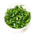 Cryptocoryne Lutea - Tissue Culture Cup - Aquarium Plants Factory