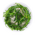 Littorella Uniflora - Tissue Culture Cup - Aquarium Plants Factory